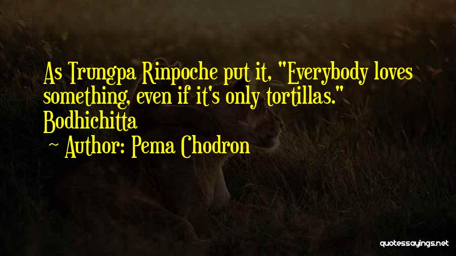 Tortillas Quotes By Pema Chodron