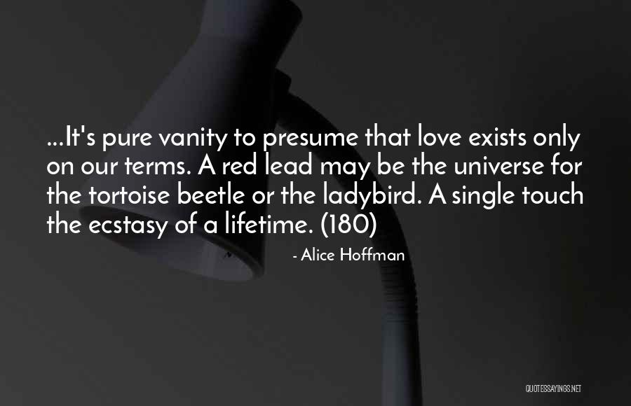 Tortoise Quotes By Alice Hoffman