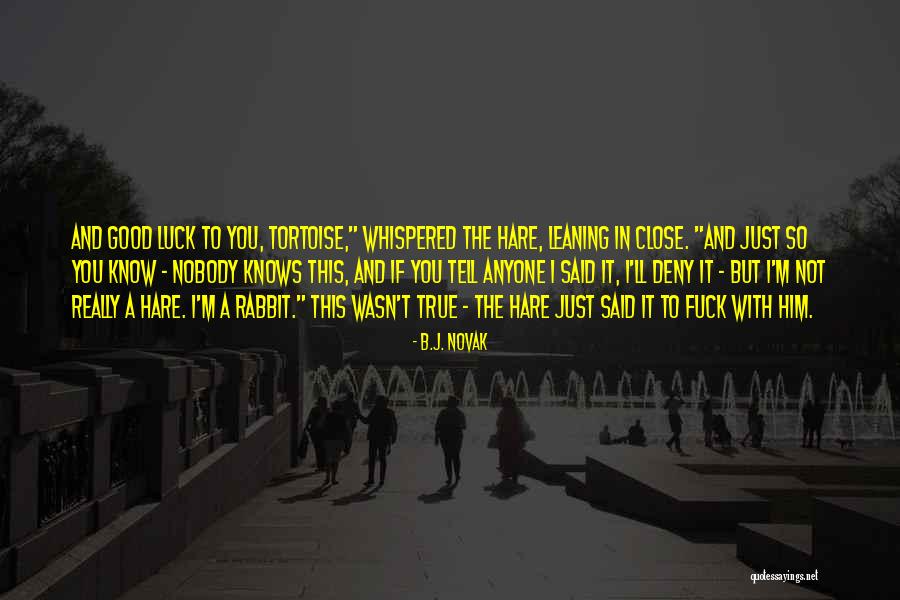 Tortoise Quotes By B.J. Novak Tortoise Quotes By B.J. Novak