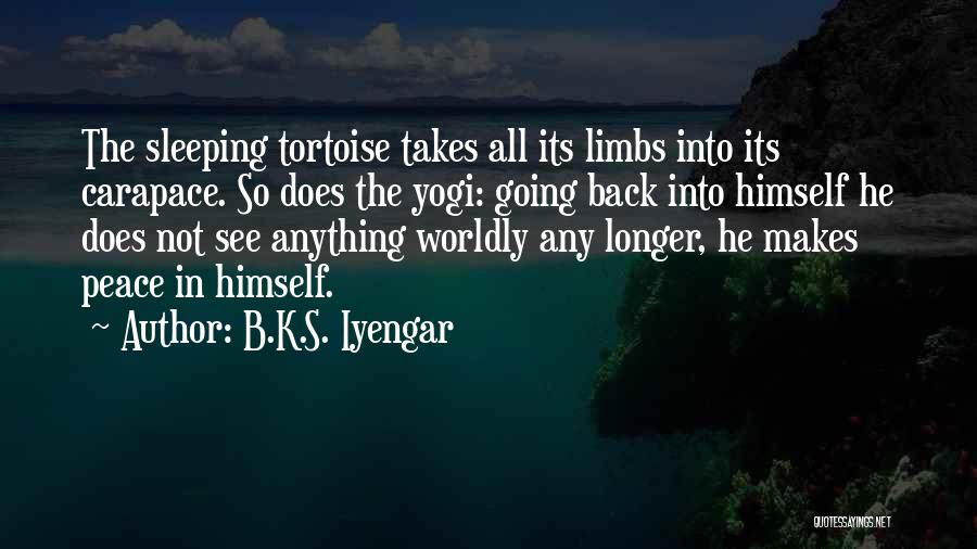 Tortoise Quotes By B.K.S. Iyengar