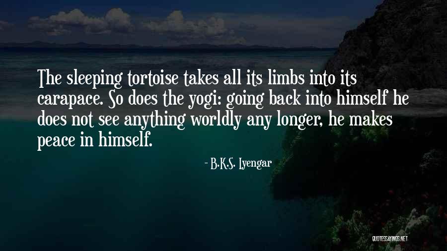 Tortoise Quotes By B.K.S. Iyengar