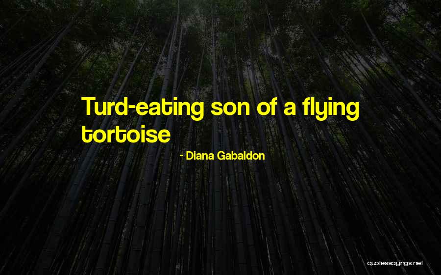Tortoise Quotes By Diana Gabaldon Tortoise Quotes By Diana Gabaldon