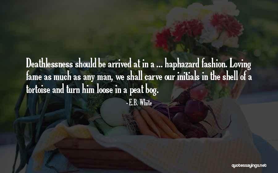 Tortoise Quotes By E.B. White Tortoise Quotes By E.B. White