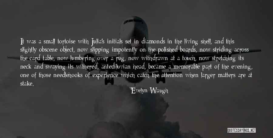 Tortoise Quotes By Evelyn Waugh