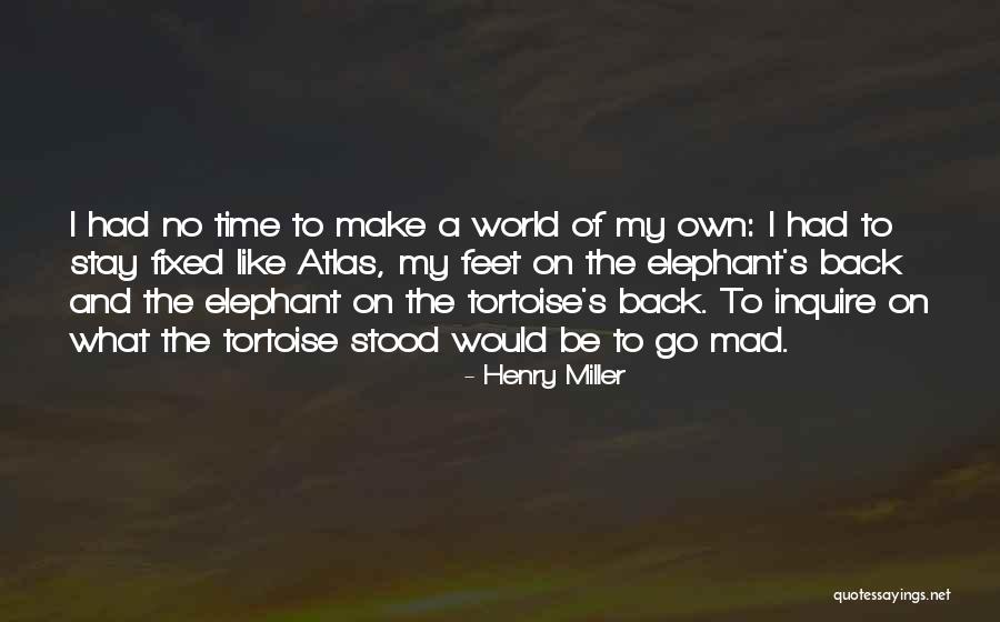 Tortoise Quotes By Henry Miller