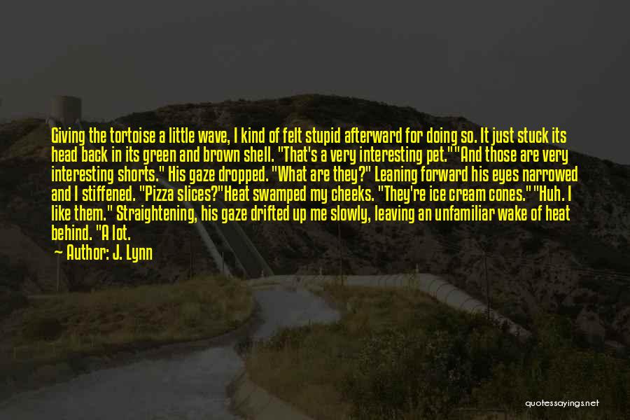 Tortoise Quotes By J. Lynn