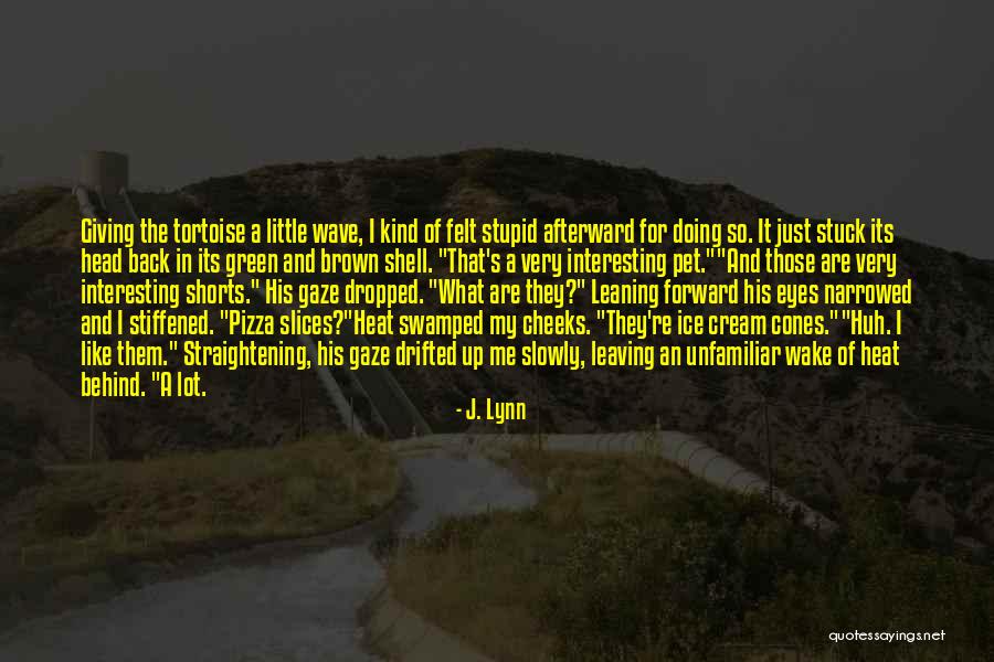 Tortoise Quotes By J. Lynn Tortoise Quotes By J. Lynn