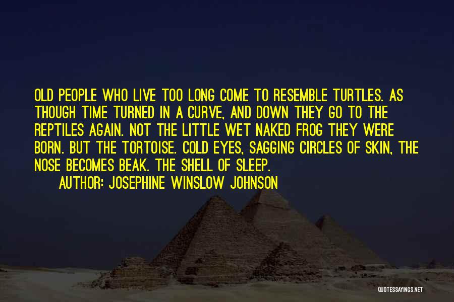 Tortoise Quotes By Josephine Winslow Johnson