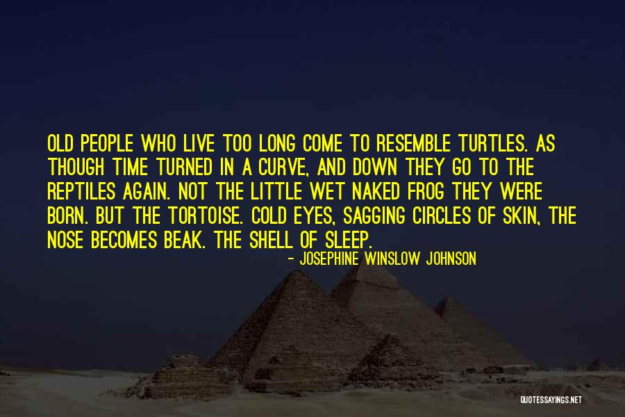 Tortoise Quotes By Josephine Winslow Johnson