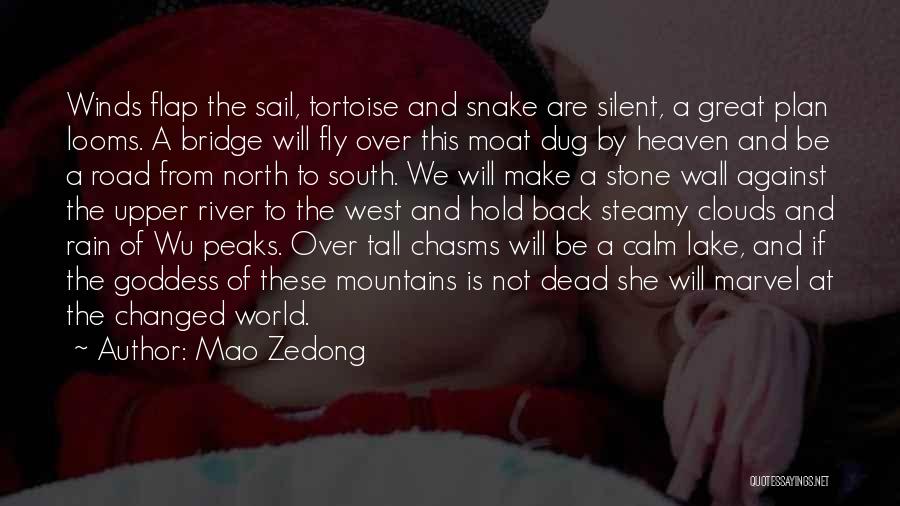 Tortoise Quotes By Mao Zedong
