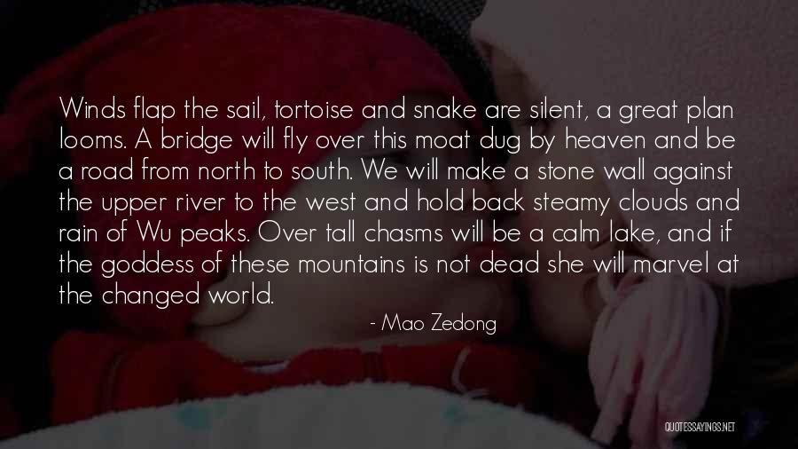 Tortoise Quotes By Mao Zedong