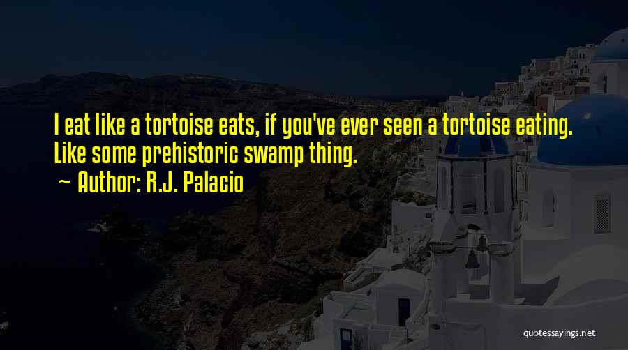Tortoise Quotes By R.J. Palacio