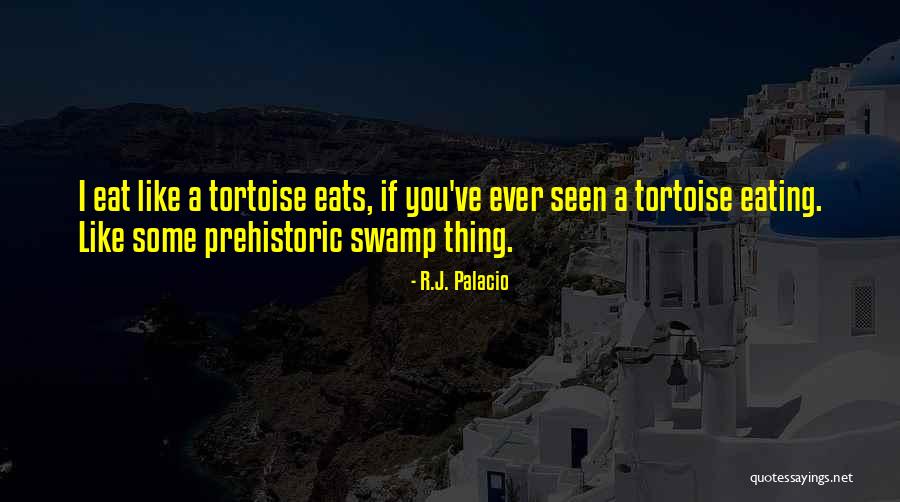 Tortoise Quotes By R.J. Palacio Tortoise Quotes By R.J. Palacio