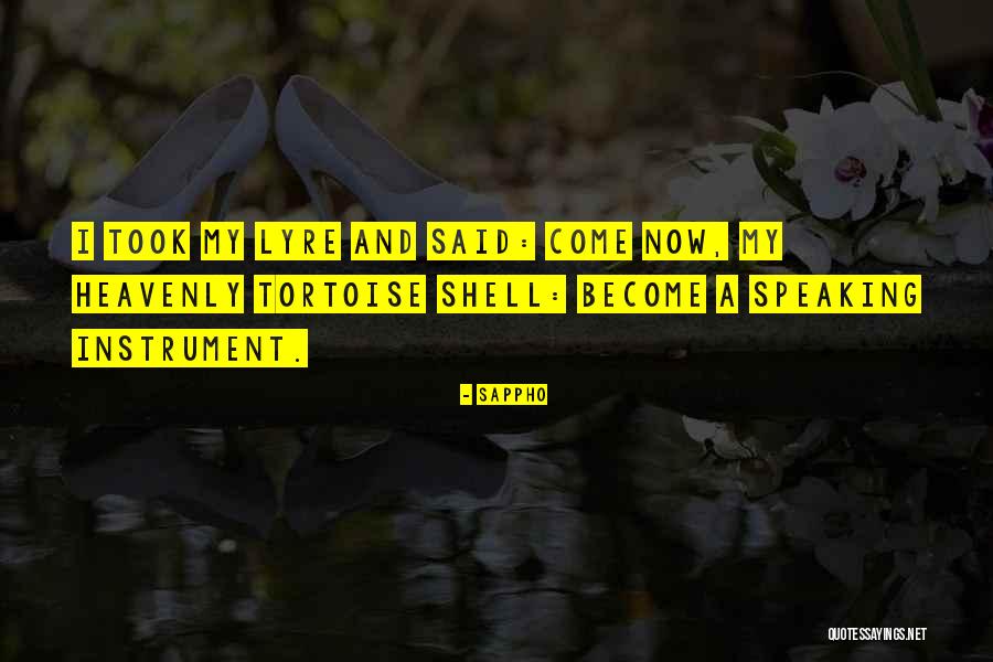 Tortoise Quotes By Sappho Tortoise Quotes By Sappho