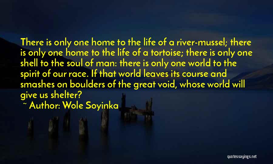 Tortoise Quotes By Wole Soyinka