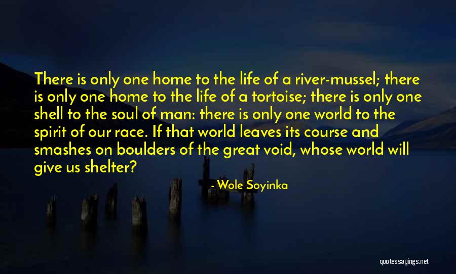 Tortoise Quotes By Wole Soyinka