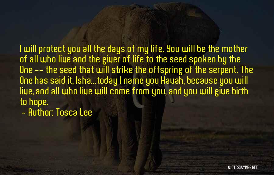 Tosca Quotes By Tosca Lee