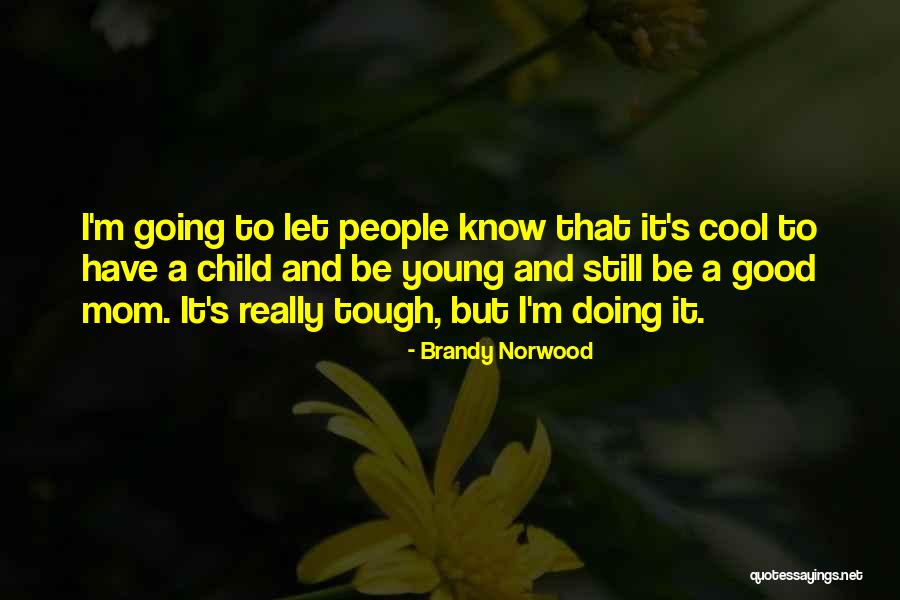 Tosches Lawyer Quotes By Brandy Norwood Tosches Lawyer Quotes By Brandy Norwood