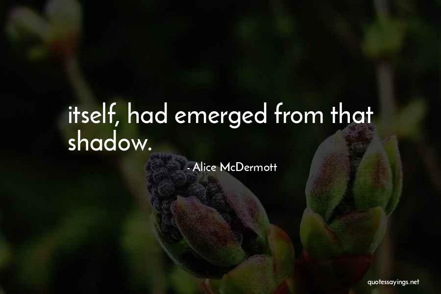 Toshak Afghan Quotes By Alice McDermott Toshak Afghan Quotes By Alice McDermott
