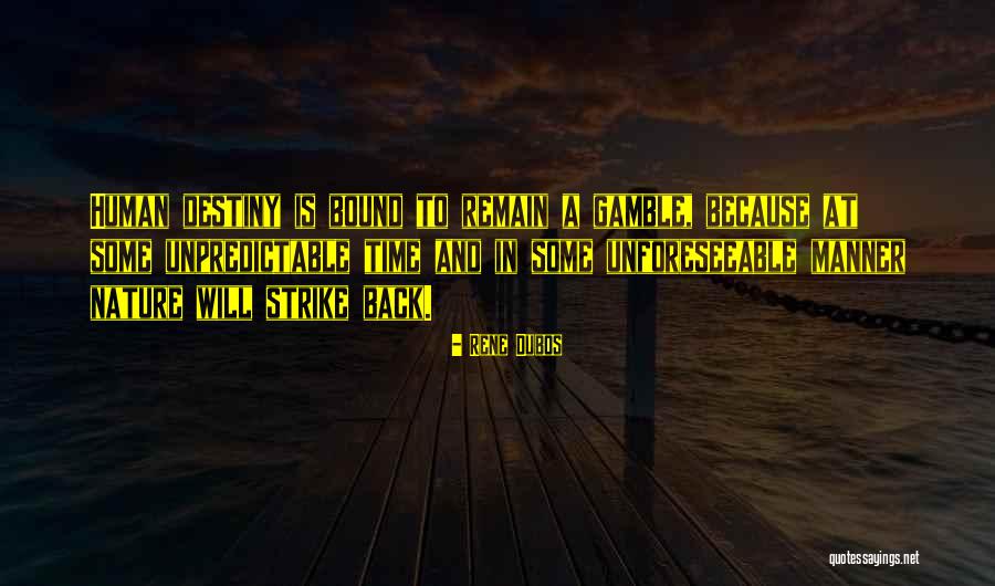 Toshie Lupisvulpes Quotes By Rene Dubos Toshie Lupisvulpes Quotes By Rene Dubos