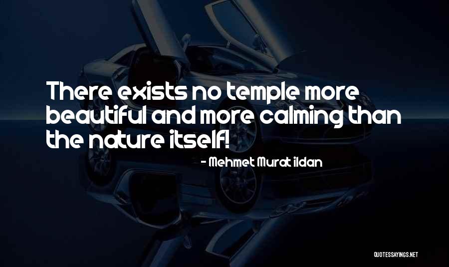 Toshihisa Kawai Quotes By Mehmet Murat Ildan Toshihisa Kawai Quotes By Mehmet Murat Ildan