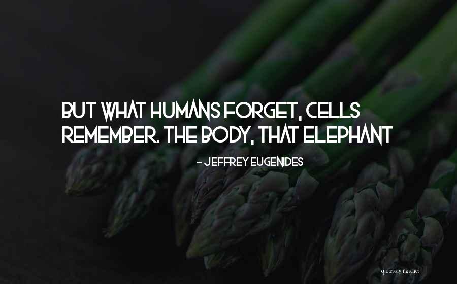 Tossel Quotes By Jeffrey Eugenides Tossel Quotes By Jeffrey Eugenides