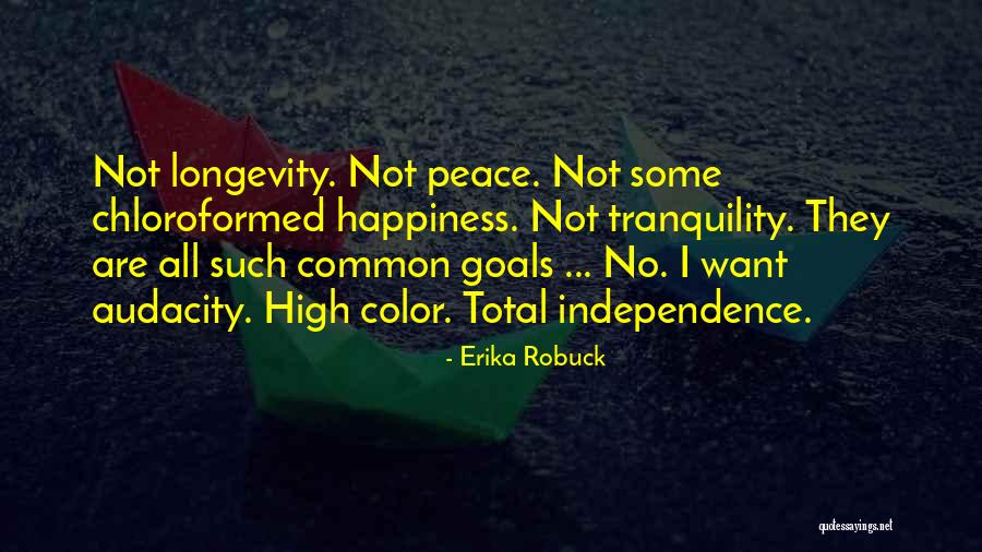 Total Happiness Quotes By Erika Robuck