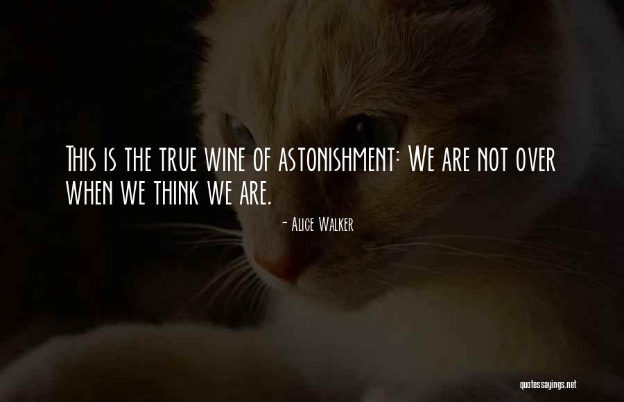 Totalitario Sinonimo Quotes By Alice Walker Totalitario Sinonimo Quotes By Alice Walker