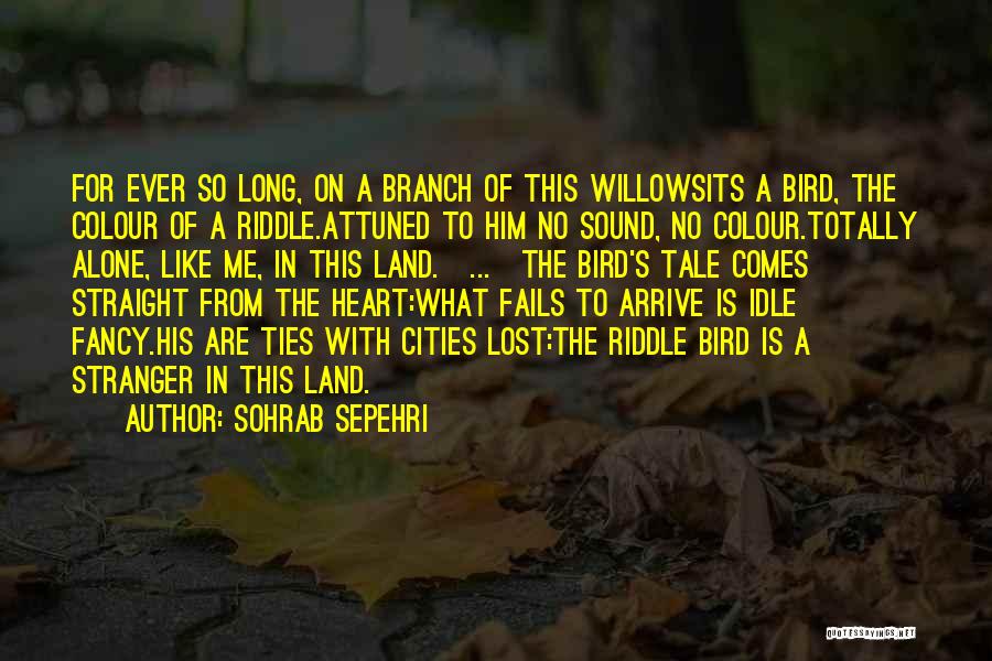 Totally Alone Quotes By Sohrab Sepehri