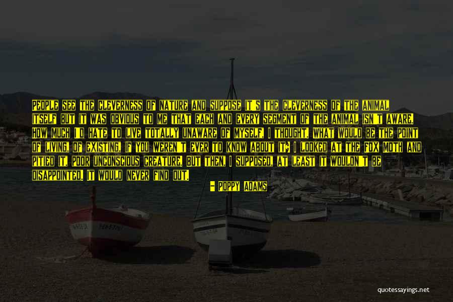 Totally Disappointed Quotes By Poppy Adams Totally Disappointed Quotes By Poppy Adams