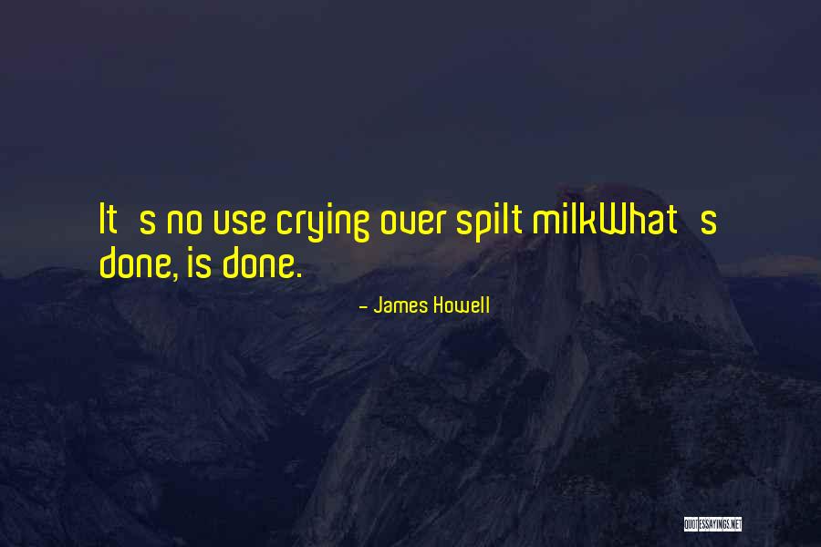 Totnes Castle Quotes By James Howell Totnes Castle Quotes By James Howell