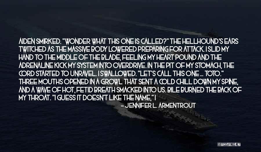 Toto Quotes By Jennifer L. Armentrout