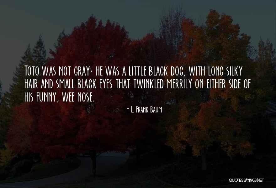 Toto Quotes By L. Frank Baum