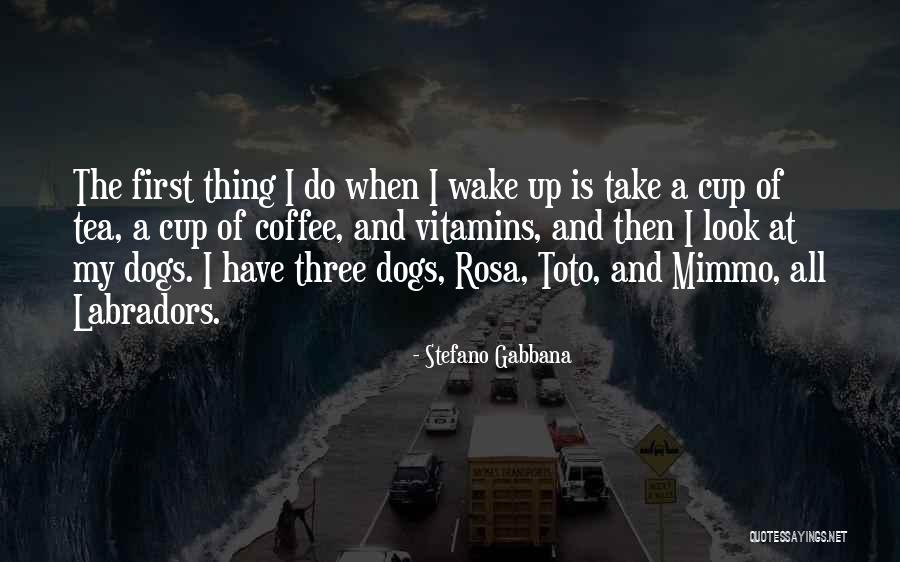 Toto Quotes By Stefano Gabbana