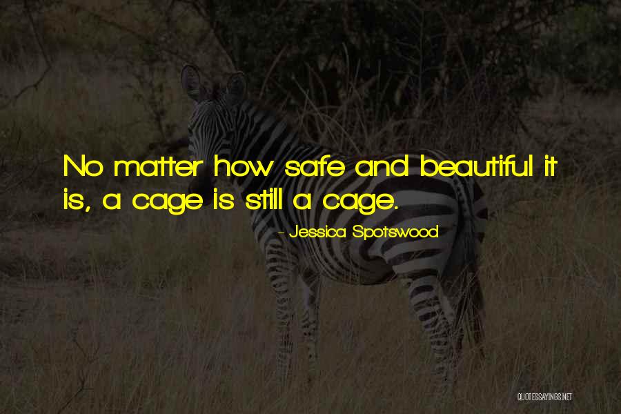 Toubassy Quotes By Jessica Spotswood Toubassy Quotes By Jessica Spotswood