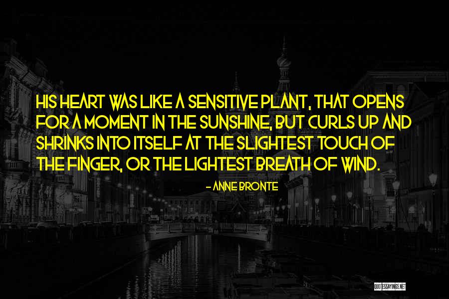 Touch Me Not Plant Quotes By Anne Bronte