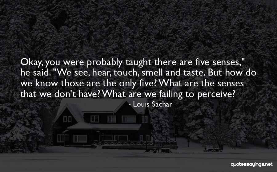 Touch Senses Quotes By Louis Sachar Touch Senses Quotes By Louis Sachar