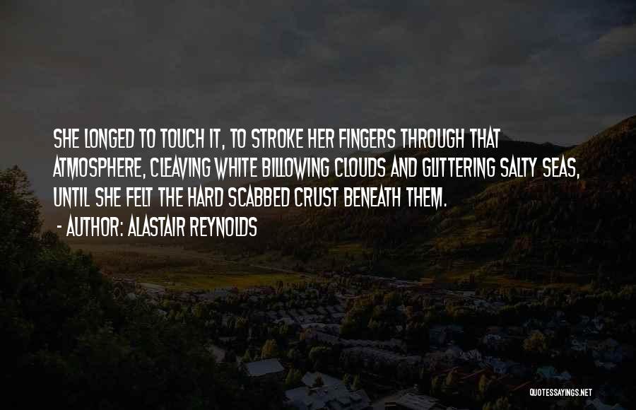 Touch The Clouds Quotes By Alastair Reynolds