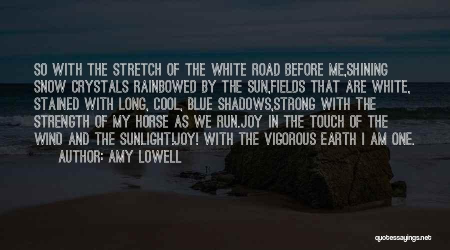 Touch The Earth Quotes By Amy Lowell