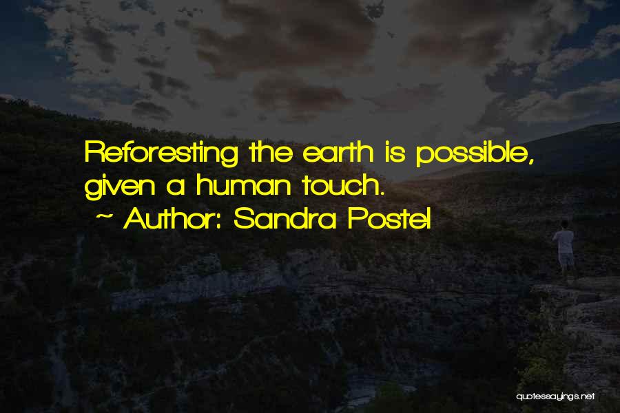 Touch The Earth Quotes By Sandra Postel