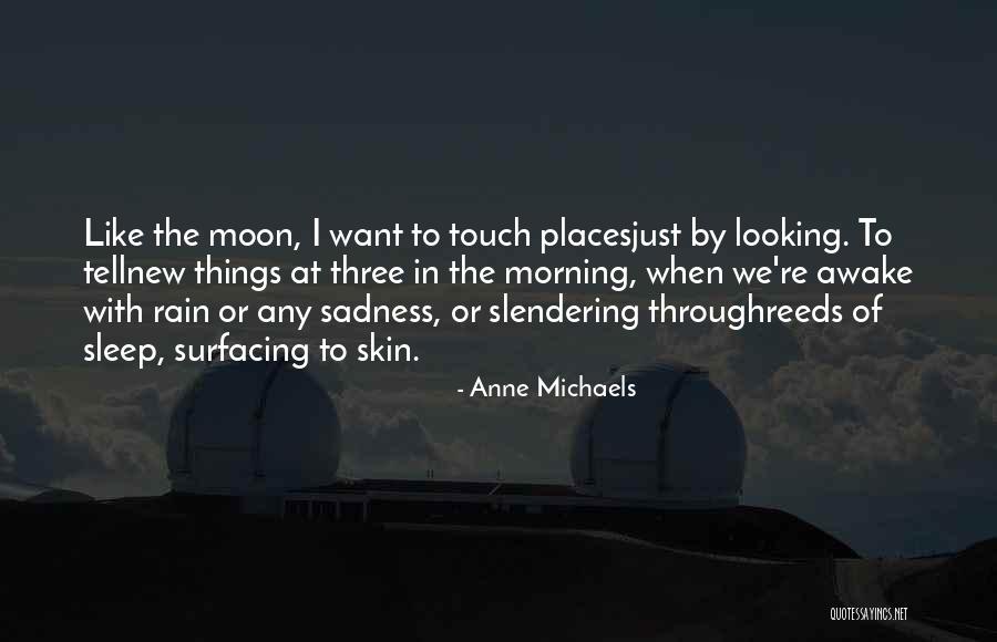 Touch The Moon Quotes By Anne Michaels