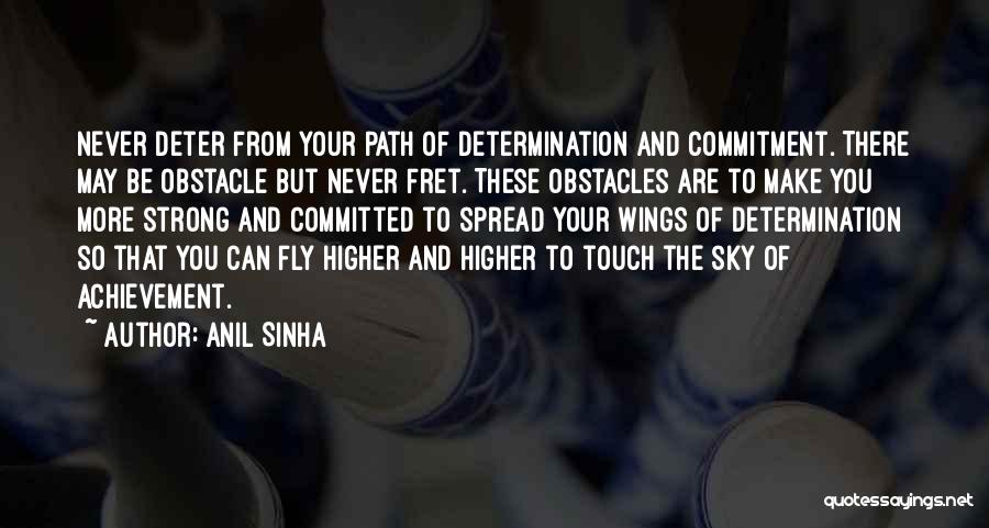 Touch The Sky Quotes By Anil Sinha