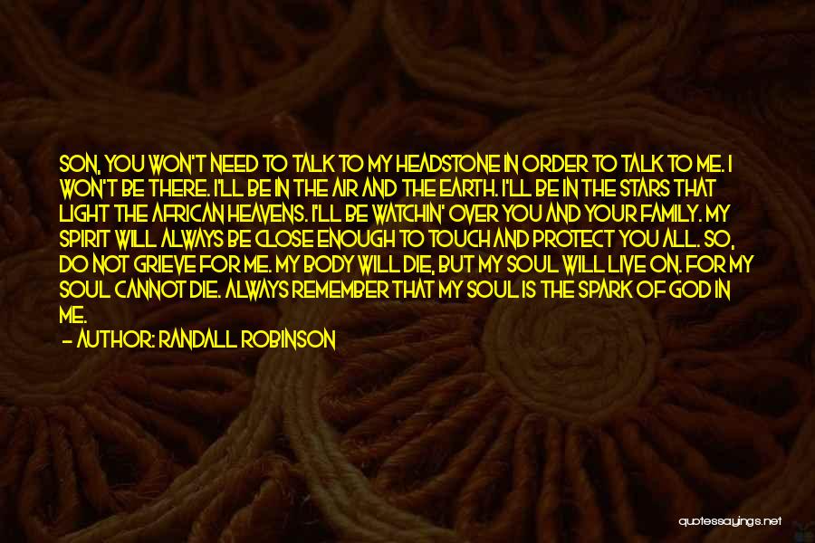 Touch The Stars Quotes By Randall Robinson