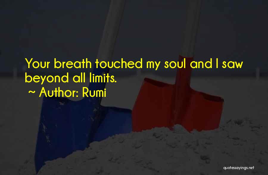 Touched Soul Quotes By Rumi