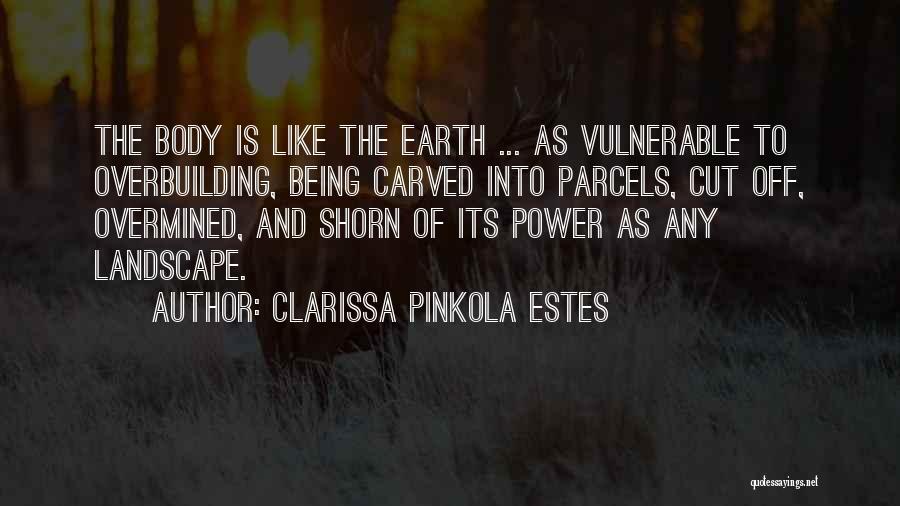 Touching Your Body Quotes By Clarissa Pinkola Estes