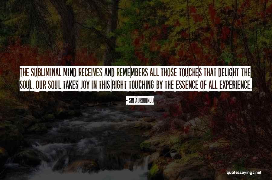 Touching Your Soul Quotes By Sri Aurobindo