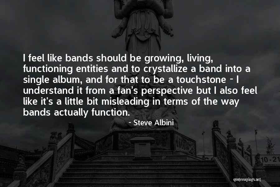 Touchstone As You Like It Quotes By Steve Albini Touchstone As You Like It Quotes By Steve Albini