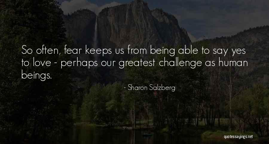 Toufan Gluten Quotes By Sharon Salzberg Toufan Gluten Quotes By Sharon Salzberg