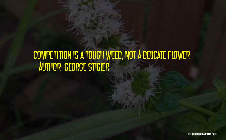 Tough Competition Quotes By George Stigler