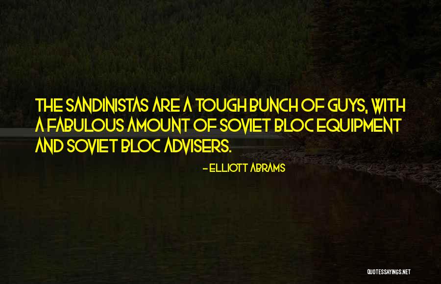 Tough Guys Quotes By Elliott Abrams